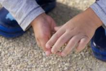 Notre zone d'activité pour ce service Organisation d'un événement mémorable dans un parc à thème qui offre une multitude d'activités pour captiver les enfants