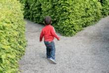Notre zone d'activité pour ce service Organisation d'un événement mémorable dans un parc à thème qui offre une multitude d'activités pour captiver les enfants